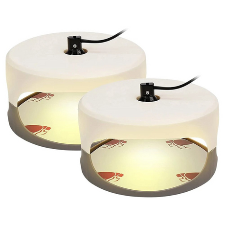 Indoor Bed Bug Trap