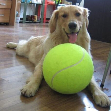 XXL Dog Tennis Ball 24cm