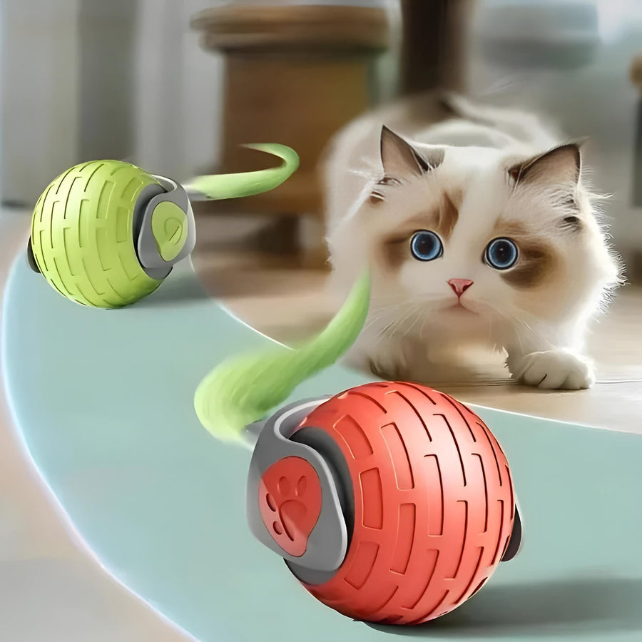 Interactive Moving Cat Toy