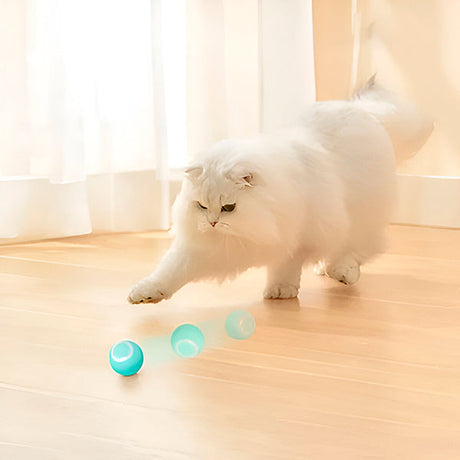 Automatic Rolling Pet Ball