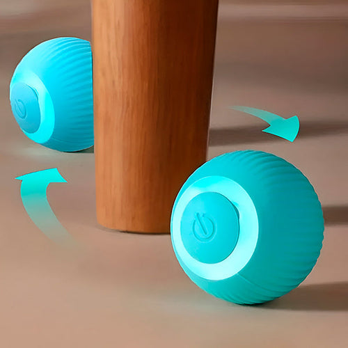 Automatic Rolling Pet Ball
