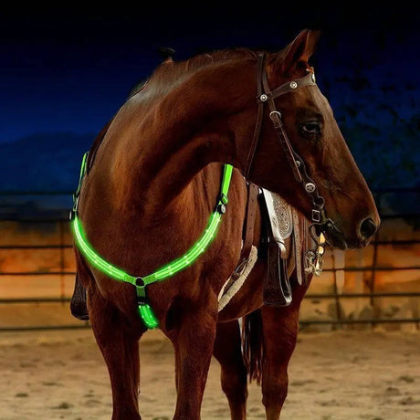 LED Horse Breast Collar