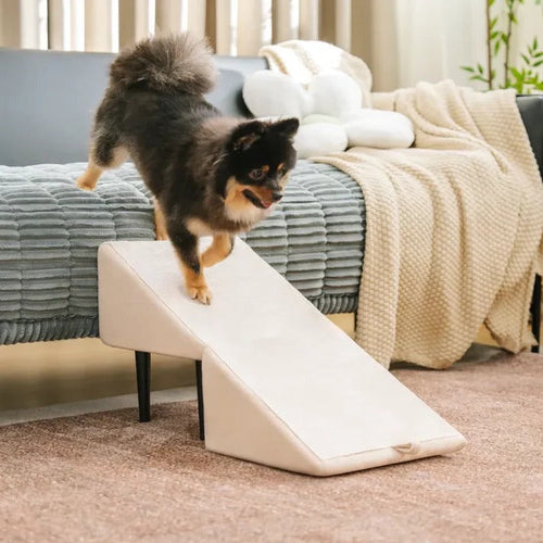 2-in-1 Dog Ramp & Step Stool
