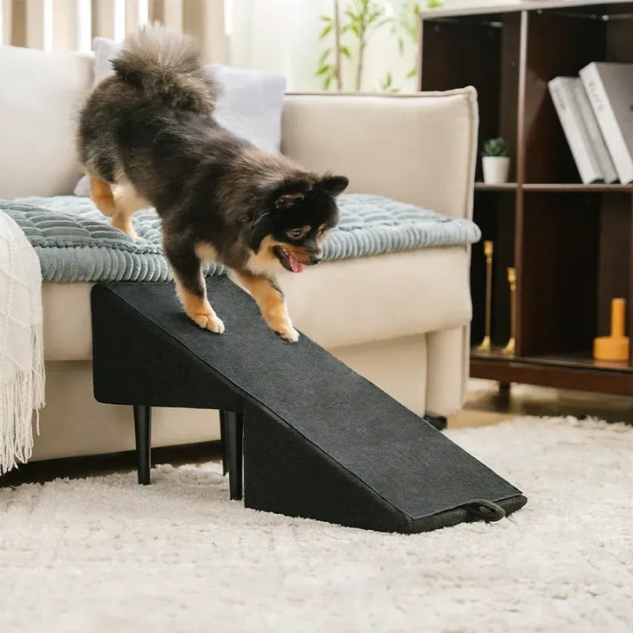 2-in-1 Dog Ramp & Step Stool