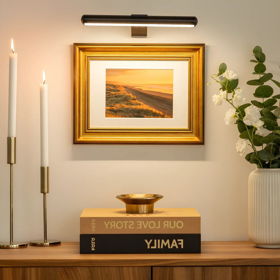 Wireless LED Picture Light