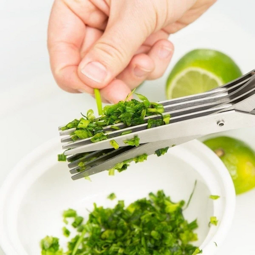 5-Blade Kitchen Herb Scissors