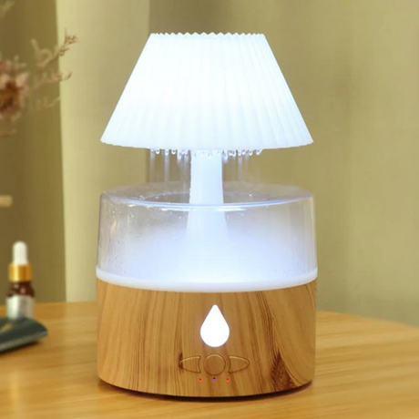 Rain Cloud Aroma Humidifier