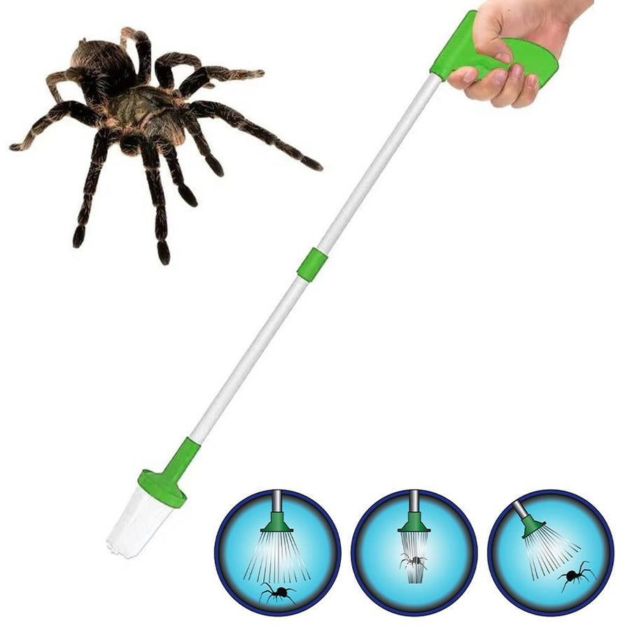 Bug Catcher